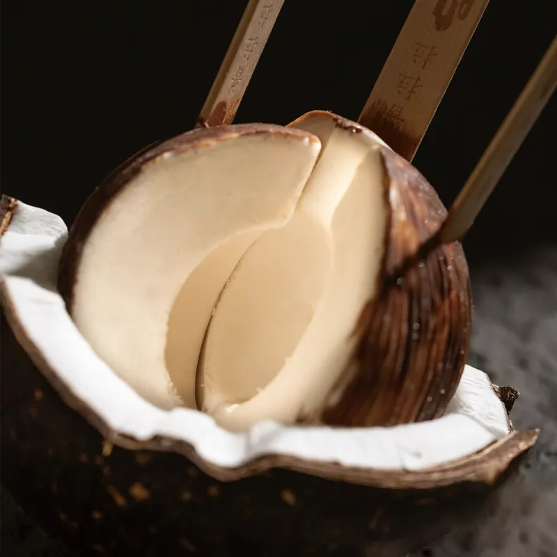 4 COCONUT FROZEN DESSERT / 四分之椰椰子雪糕 NEWWA 1 – product photo 6