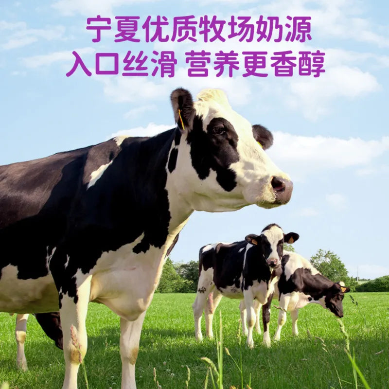 西梅多多发酵酸奶饮品（三联） NEWWA Prune Fermented Yogurt Drink – product photo 5